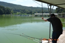 고담낚시터 유료낚시터 > 붕어100수 3명 탄생 : 낚시사랑