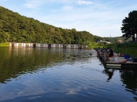 삼인낚시터 유료낚시터 > 시원한 시설에서 편안한 낚시휴가 즐기세요~~!!-용인삼인낚시터- : 낚시사랑