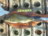 대석낚시터 유료낚시터 > 대석에서 4짜는 아주 흔해요.. : 낚시사랑