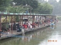 오빈낚시터 유료낚시터 > ***꾸준한 조황 보이고 있습니다*** : 낚시사랑