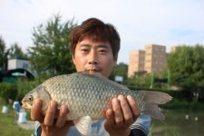 내동지 유료낚시터 > *** 28일 종료 *** : 낚시사랑 내동지 유료낚시터 >  *** 28일 종료 *** : 낚시사랑