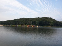 삼인낚시터 유료낚시터 > 찌맛, 손맛 모두 좋습니다~~!!-용인 삼인 낚시터- : 낚시사랑