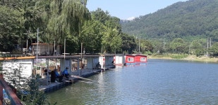 양평수곡낚시터 유료낚시터 > 양평 힐링 수곡낚시터 포인트 편차없이 꾸준히 좋은 조황이 이어지고 있습니다 : 낚시사랑