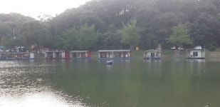 양평수곡낚시터 유료낚시터 > 양평 힐링 수곡낚시터 일요일 조황도 토요일과 비슷하게 잘 나와주네요 : 낚시사랑