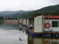삼인낚시터 유료낚시터 > 대단하신 분들~~!!-용인삼인낚시터- : 낚시사랑