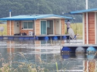 수원좌대 유료낚시터 > 오름수위!! 마름군락지 입성 수원좌대!! : 낚시사랑