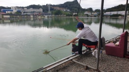 안성 거청낚시터 유료낚시터 > 안성거청낚시터 9월 12 일 붕어조황 : 낚시사랑