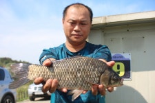 내동지 유료낚시터 > *** 이벤트1일차 토종44cm *** : 낚시사랑