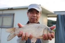 내동지 유료낚시터 > *** 내 동 잔 치 *** : 낚시사랑