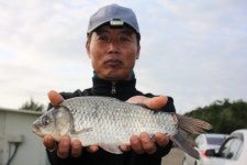 내동지 유료낚시터 > *** 내 동 잔 치 *** : 낚시사랑