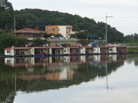 삼인낚시터 유료낚시터 > 가깝고 물 좋고 경치좋은 곳~~!!-용인삼인낚시터- : 낚시사랑