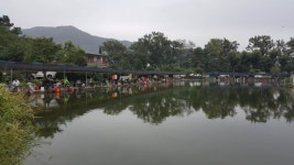 우금낚시공원 유료낚시터 > 풍성했던 추석연휴조황 : 낚시사랑