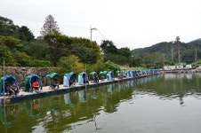 상덕낚시터 유료낚시터 > [상덕낚시터] 9월 2주차 이야기 - 용인 상덕 : 낚시사랑