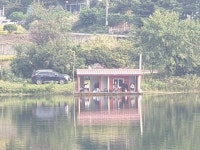 삼인낚시터 유료낚시터 > 가깝고 물 좋고 경치좋은 곳~~!!-용인삼인낚시터- : 낚시사랑