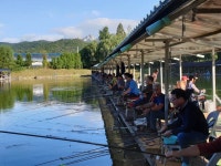 삼하낚시터 유료낚시터 > ## (삼하) 낚시의계절 조황정보 ## : 낚시사랑