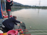 안성 거청낚시터 유료낚시터 > 안성거청낚시터 10월 11일 붕어조황 : 낚시사랑