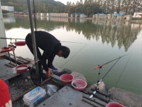 안성 거청낚시터 유료낚시터 > 안성거청낚시터 10월 14일 붕어조황 : 낚시사랑