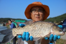 내동지 유료낚시터 > *** 토종 100수 한 번 더 *** : 낚시사랑