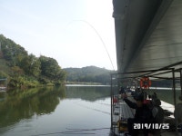 아산신수 유료낚시터 > 아산신수지 10월 마지막 주말 화보입니다.^^ : 낚시사랑