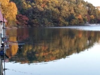 양평수곡낚시터 유료낚시터 > 힐링 수곡낚시터 자연산 토종붕어 오늘도 대량 방류완료(11/05) 및 조황소식 : 낚시사랑