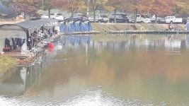 남전지기 유료낚시터 > 주말조황 및 방류소식 : 낚시사랑