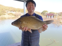 백학지 유료낚시터 > 백학저수지 최근조항 입니다. : 낚시사랑