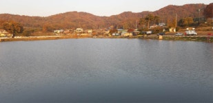 조일낚시터 유료낚시터 > 조일낚시터 주말조황정보 : 낚시사랑