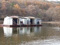 송석지낚시터 유료낚시터 > 송석지7월24일 : 낚시사랑