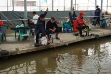 함박골낚시터 유료낚시터 > 함박골 주말 소~~~~~~오~~~~~식^^ : 낚시사랑