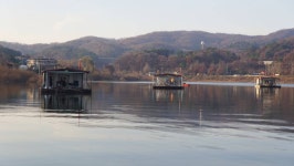 용설지 유료낚시터 > 붕어 싸만코 : 낚시사랑