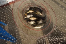 용대리낚시터 유료낚시터 > 매일 깨진다!!! : 낚시사랑