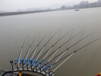 내곡지 유료낚시터 > 내곡지 조황정보 : 낚시사랑