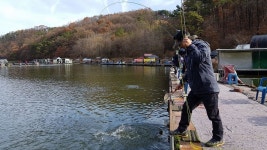 용인지곡낚시공원 유료낚시터 > ◐ 겨울철의 토종 5짜붕어 ◐ : 낚시사랑