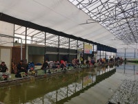 우금낚시공원 유료낚시터 > 꾸준함속의 실내 하우스낚시터 : 낚시사랑