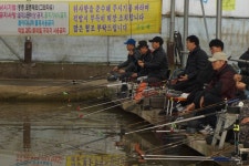함박골낚시터 유료낚시터 > 추운겨울~~~~그래도 랜딩은 이어 집니다^^ : 낚시사랑