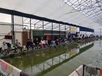 우금낚시공원 유료낚시터 > 주말조황과 하우스낚시터이야기 : 낚시사랑