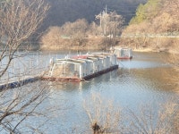 송석지낚시터 유료낚시터 > 송석지12월19일 : 낚시사랑