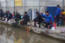 함박골낚시터 유료낚시터 > 주말 징크스??? : 낚시사랑