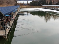 삼하낚시터 유료낚시터 > ## 새해 복 많이 받으세요 ## : 낚시사랑