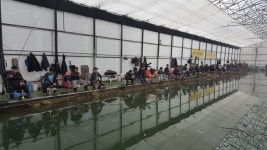 우금낚시공원 유료낚시터 > 2020년 새해 첫 주중조황 : 낚시사랑