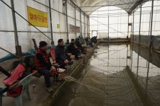 함박골낚시터 유료낚시터 > 마약 낚시터~~ㅎㅎㅎㅎ : 낚시사랑