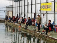 우금낚시공원 유료낚시터 > 무난함속의 실내하우스 주중조황 : 낚시사랑