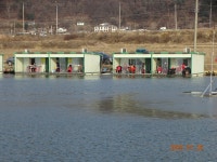 오빈낚시터 유료낚시터 > ****오후부터 입질확률 높습니다**** : 낚시사랑