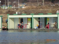 오빈낚시터 유료낚시터 > ****오후부터 입질확률 높습니다**** : 낚시사랑