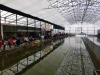 우금낚시공원 유료낚시터 > 설연휴 하우스낚시터 조황스케치 : 낚시사랑