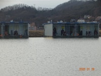 오빈낚시터 유료낚시터 > ***주중조황 정보및 방류소식 전합니다*** : 낚시사랑