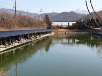 삼하낚시터 유료낚시터 > ## (삼하) 주말 도전 성공 ## : 낚시사랑