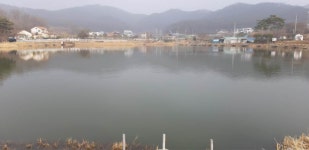 조일낚시터 유료낚시터 > 지구바이러스 : 낚시사랑