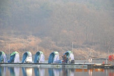 고담낚시터 유료낚시터 > 붕어방류 와 붕어조황입니다 . : 낚시사랑