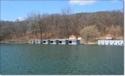 산우물낚시터 유료낚시터 > (산우물낚시터) 2020년 물낚시 개장안내 : 낚시사랑